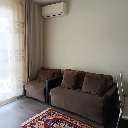 Byala Cozy Kiwi *