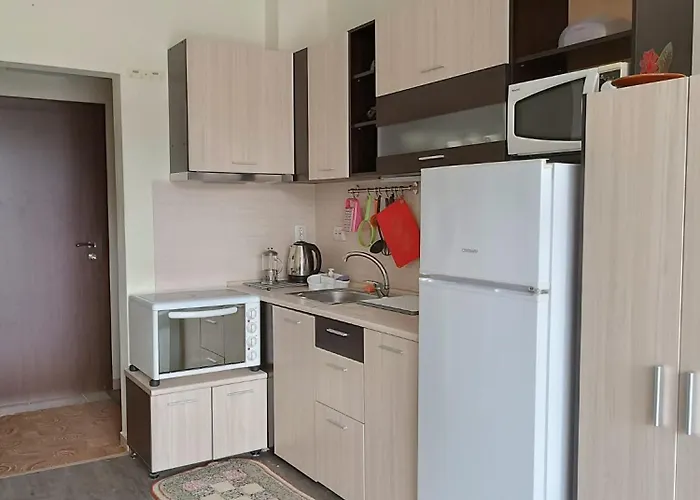 아파트 Byala Cozy Kiwi