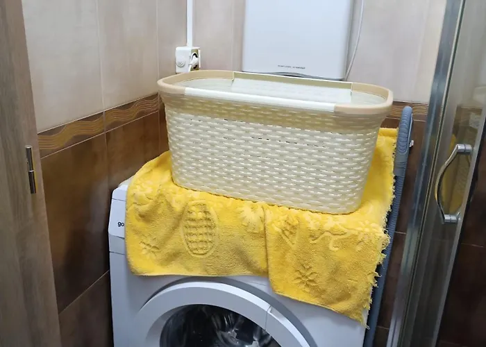 Byala Cozy Kiwi 비알라